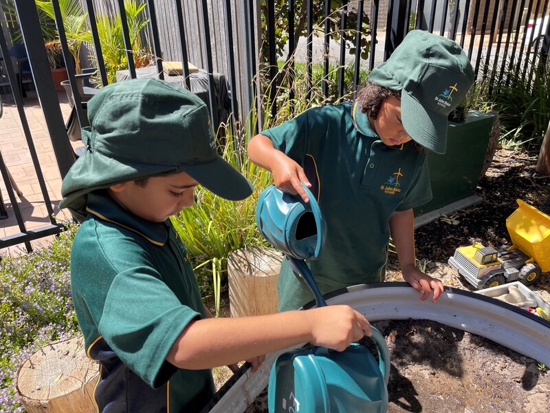 Outdoors - plant watering