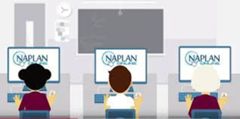 NAPLAN (Custom)
